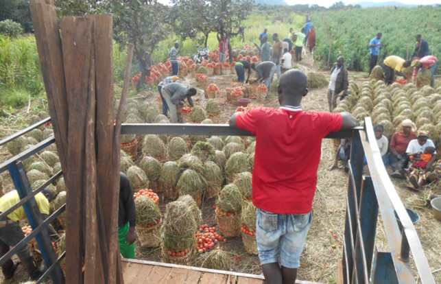 Vie Rurale Authentique